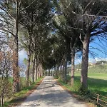 Apartamento Balcone Sulla Vigna Borgo Solfagnano *