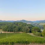Balcone Sulla Vigna Borgo Solfagnano Solfagnano Parlesca
