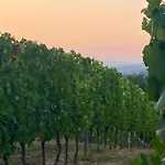 Balcone Sulla Vigna Borgo Solfagnano Apartamento Solfagnano Parlesca