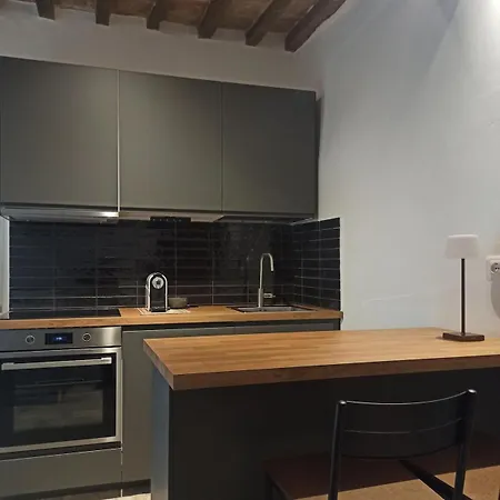 Balcone Sulla Vigna Borgo Solfagnano 아파트 *