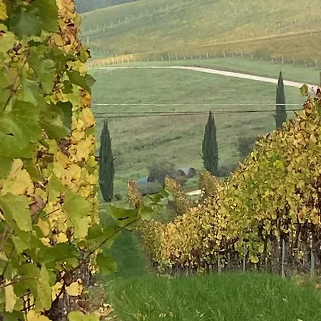 Balcone Sulla Vigna Borgo Solfagnano Apartament