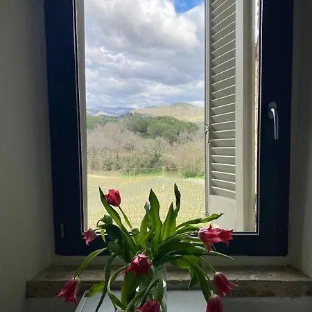 Balcone Sulla Vigna Borgo Solfagnano Apartament Solfagnano Parlesca