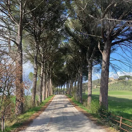 아파트 Balcone Sulla Vigna Borgo Solfagnano *