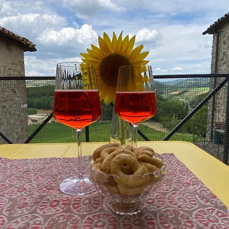 Apartament Balcone Sulla Vigna Borgo Solfagnano *