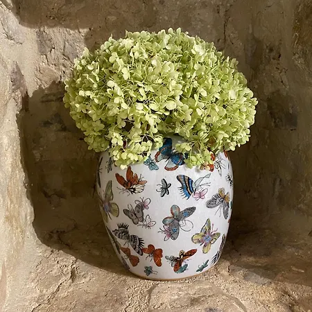 Balcone Sulla Vigna Borgo Solfagnano Apartament Solfagnano Parlesca