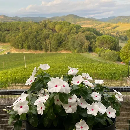 Apartament Balcone Sulla Vigna Borgo Solfagnano Solfagnano Parlesca