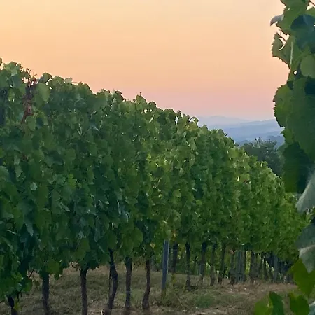 Balcone Sulla Vigna Borgo Solfagnano Apartament Solfagnano Parlesca