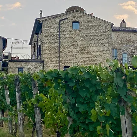 Appartamento Balcone Sulla Vigna - Romantic Getaway In Umbria -Borgo Solfagnano