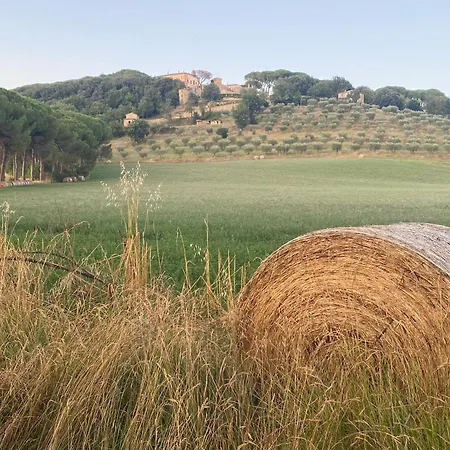 Balcone Sulla Vigna Borgo Solfagnano Apartamento Solfagnano Parlesca
