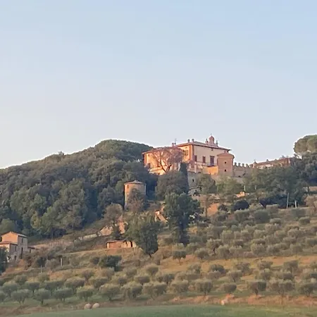 아파트 Balcone Sulla Vigna Borgo Solfagnano *