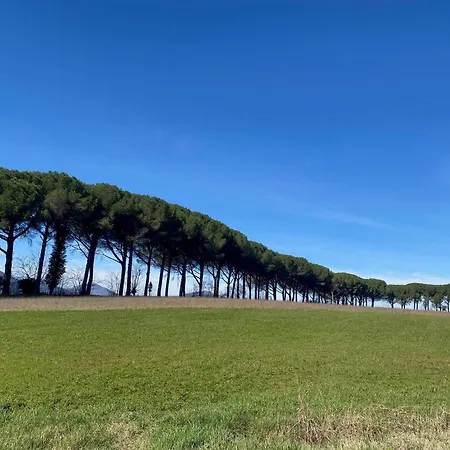Апартаменты Appartamento Balcone Sulla Vigna - Romantic Getaway In Umbria -Borgo Solfagnano Solfagnano Parlesca