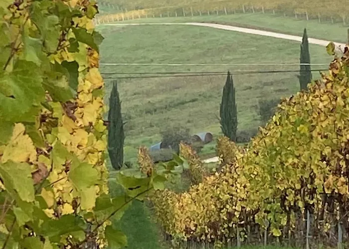 Balcone Sulla Vigna Borgo Solfagnano Apartamento