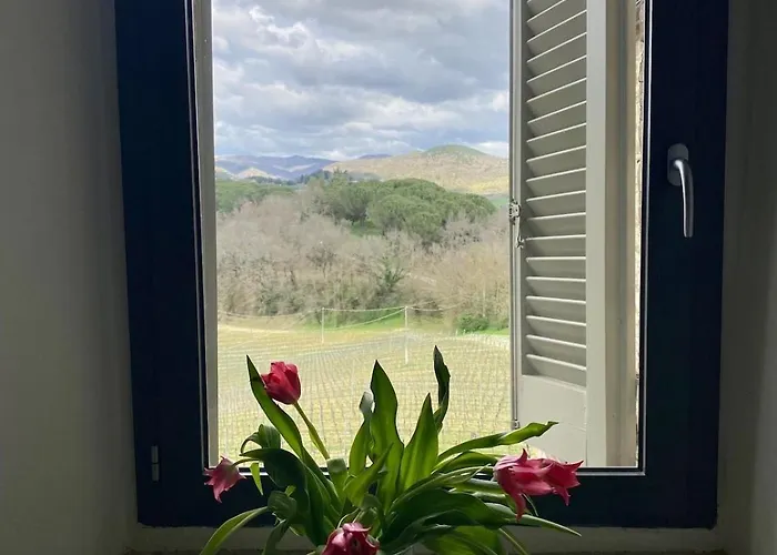 Balcone Sulla Vigna Borgo Solfagnano Apartamento Solfagnano Parlesca