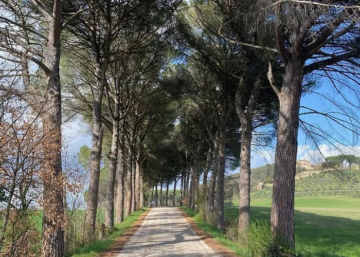 Apartamento Balcone Sulla Vigna Borgo Solfagnano *