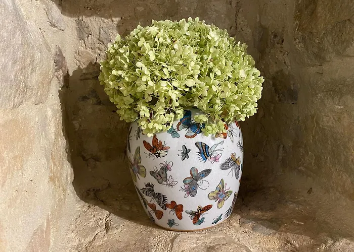 Balcone Sulla Vigna Borgo Solfagnano Apartamento Solfagnano Parlesca