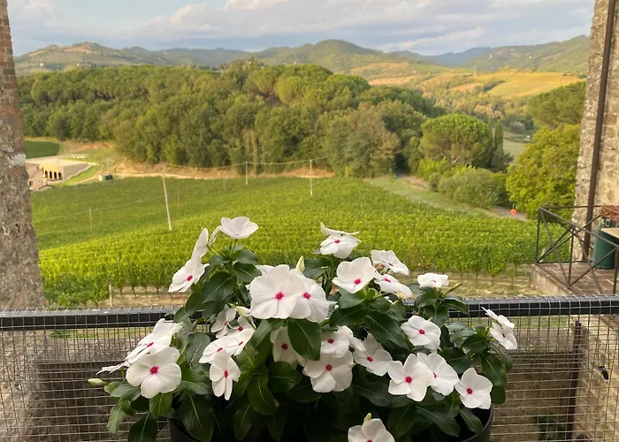Apartamento Balcone Sulla Vigna Borgo Solfagnano Solfagnano Parlesca