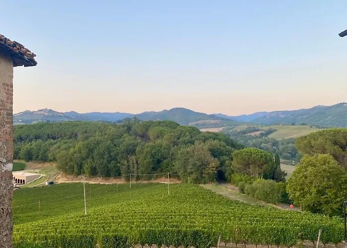 Balcone Sulla Vigna Borgo Solfagnano Solfagnano Parlesca