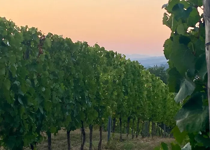 Balcone Sulla Vigna Borgo Solfagnano Apartamento Solfagnano Parlesca