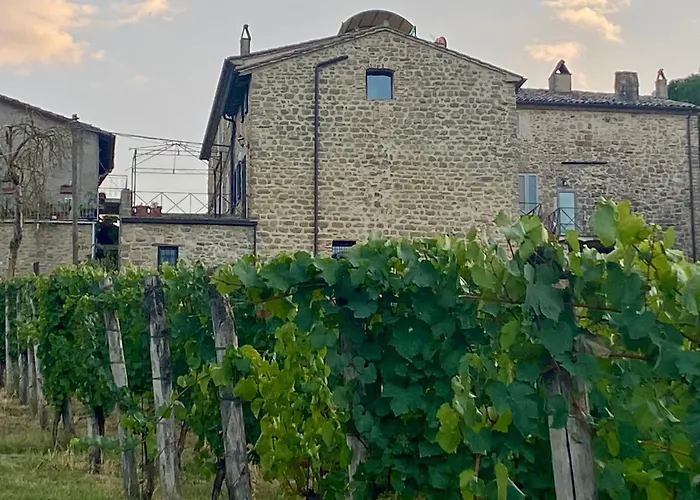 Balcone Sulla Vigna Borgo Solfagnano