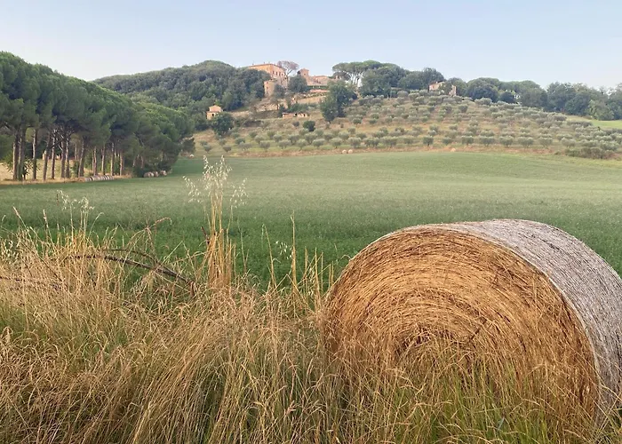 Balcone Sulla Vigna Borgo Solfagnano Apartamento Solfagnano Parlesca