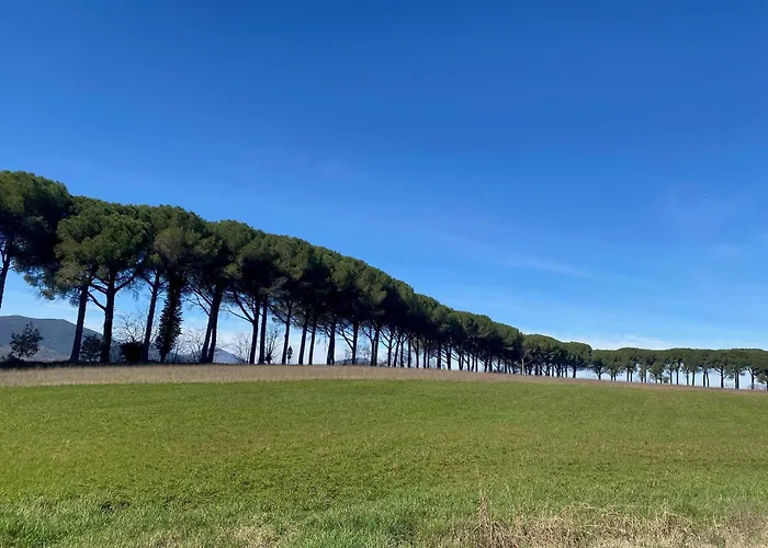 Apartamento Balcone Sulla Vigna Borgo Solfagnano Solfagnano Parlesca